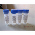 Crf (ovine) Trifluoroacetate; Generic Peptide; Cosmetic Peptide